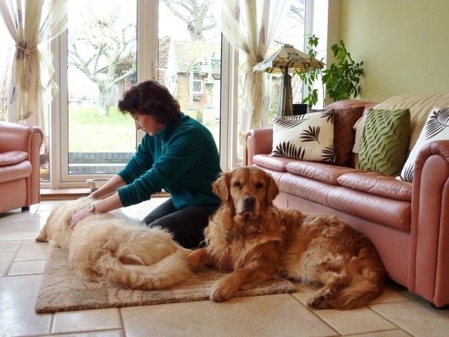 Forestmoods Animal Therapy